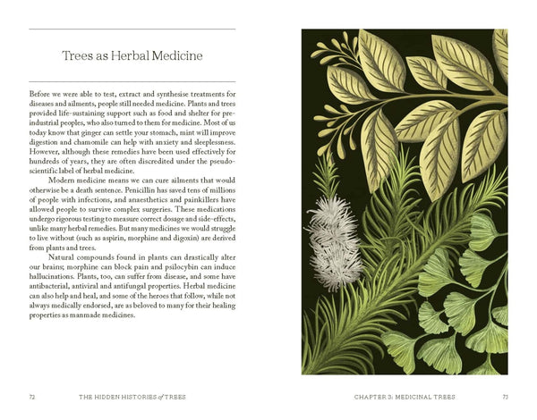 The Hidden Histories of Trees Fascinating Stories of our Most-loved Trees By Maddie Bailey | Hardie Grant