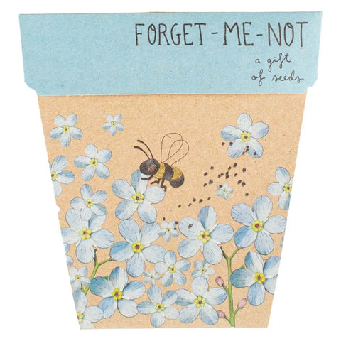 Forget-Me-Not Gift of Seeds  | Sow n Sow