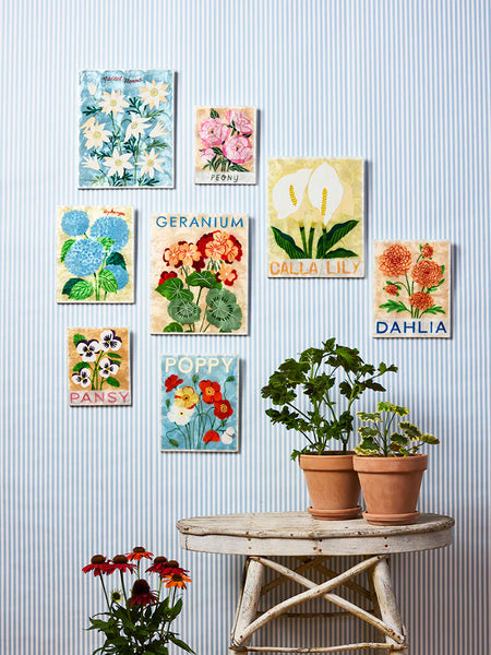 MARKET WALL ART POPPY  | Jones & Co