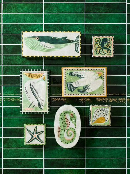 MARINER BOX SHELL | Jones & Co