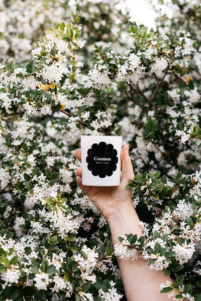 Cosmos Votive Candle | Bon Lux