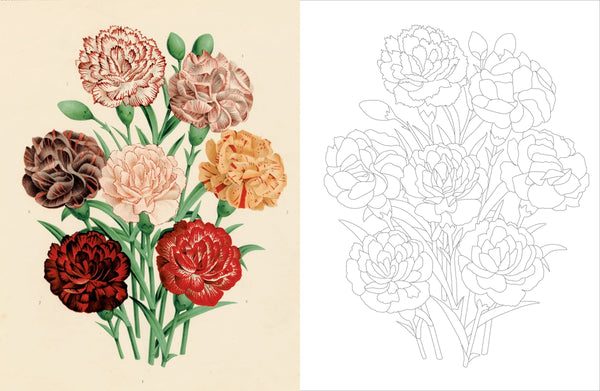 John Derian Colouring Book Flowers By John Derian | Hardie Grant