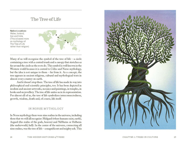 The Hidden Histories of Trees Fascinating Stories of our Most-loved Trees By Maddie Bailey | Hardie Grant