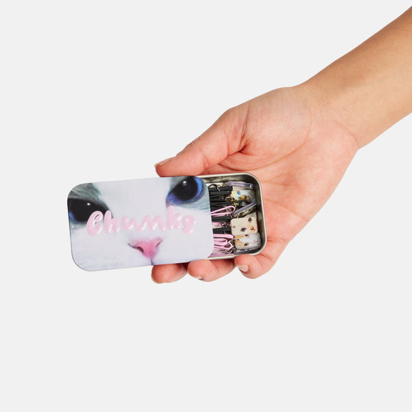 Kitty Bobby Pins | Chunks