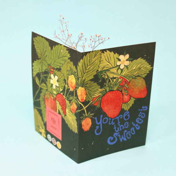 You're The Sweetest Greetings Card | Ark Colour Design