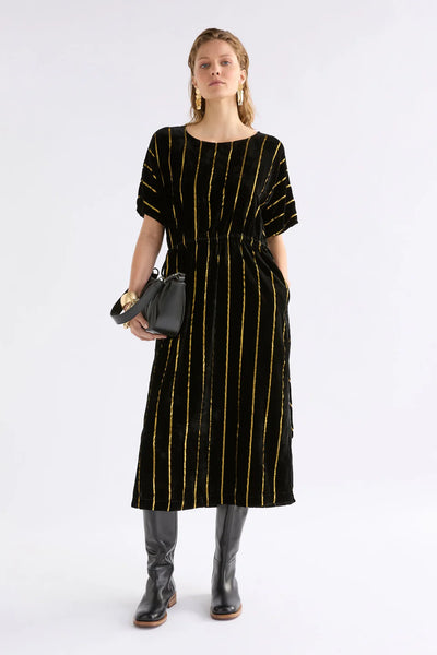 Lumii Velvet Dress - Black/Gold Stripe | Elk The Label