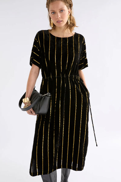 Lumii Velvet Dress - Black/Gold Stripe | Elk The Label