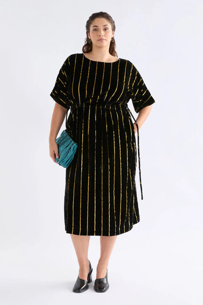Lumii Velvet Dress - Black/Gold Stripe | Elk The Label