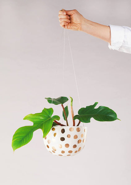 Decorative Hanging Planter | Gold Spot | Angus & Celeste