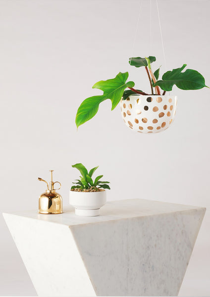 Decorative Hanging Planter | Gold Spot | Angus & Celeste