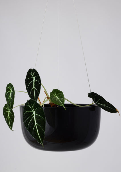 Glazed Earth Hanging Planter black onyx, large | Angus and Celeste