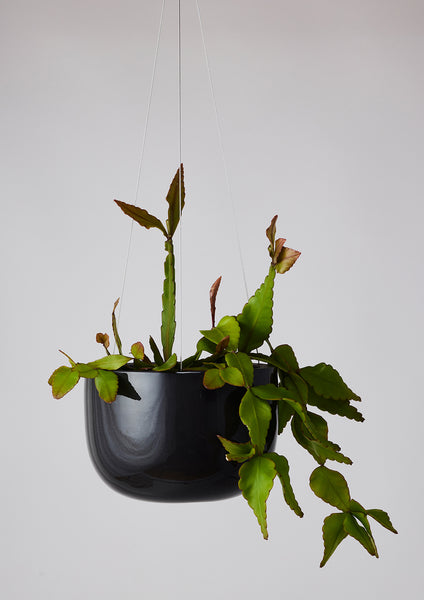 Glazed Earth Hanging Planter black onyx, mid | Angus and Celeste