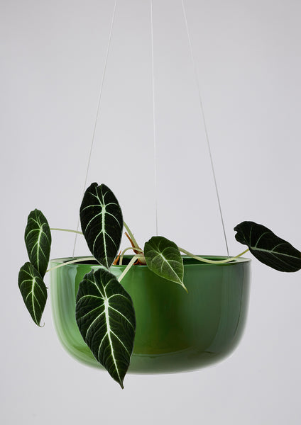 Glazed Earth Hanging Planter forest green, large | Angus and Celeste