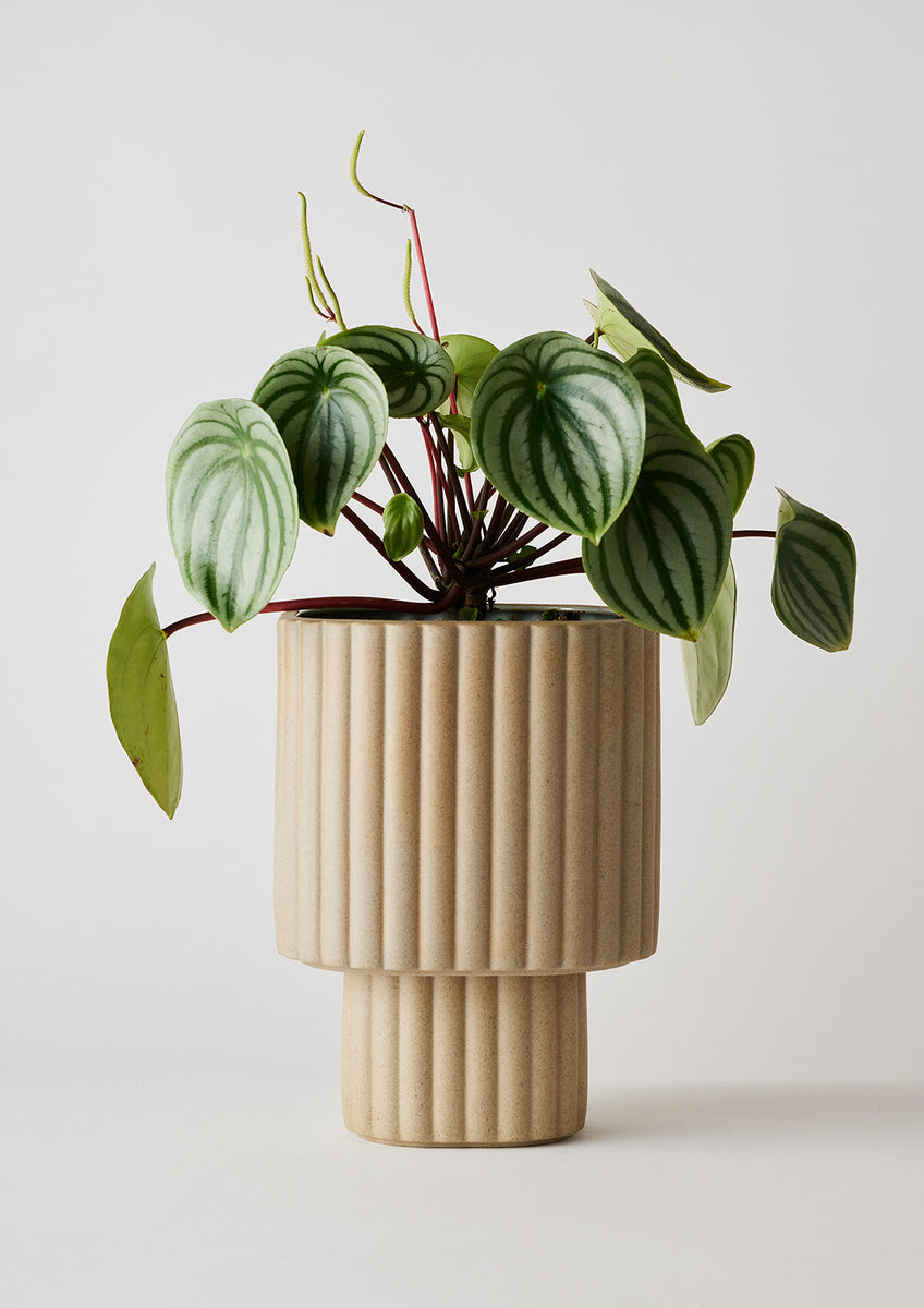 Modular Stack Planter | Sand | Angus and Celeste – Run to the River