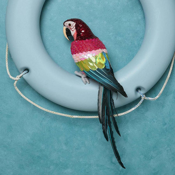 Majestic Stardust Parrot Large  | Florabelle