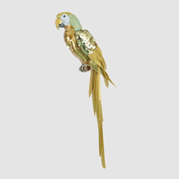Glitzola Sequin Parrot | Florabelle