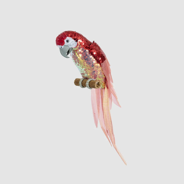 Rubes Sequin Parrot | Florabelle