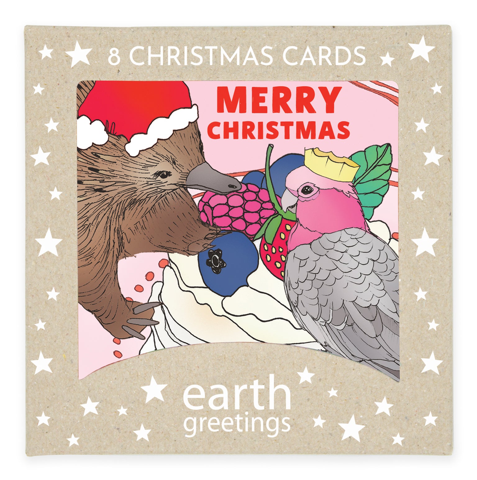 Boxed Christmas Card | Earth Greetings | CHRISTMAS DESSERT