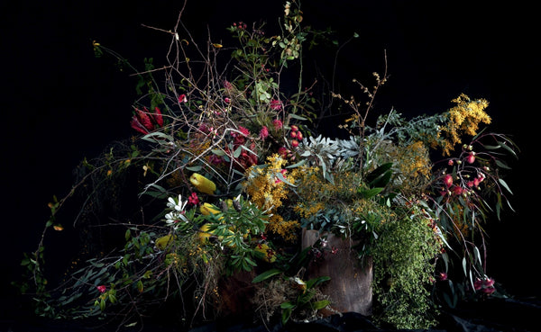 Pretty Dirty The Life of Flowers, From Creation to Compost By Melanie Stapleton | Hardie Grant
