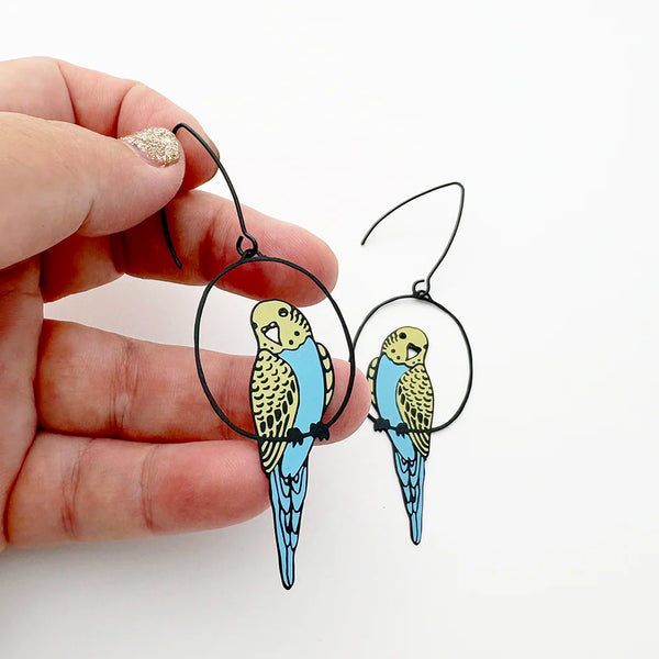 Budgie earrings in Black/Blue/Yellow | Denzandco