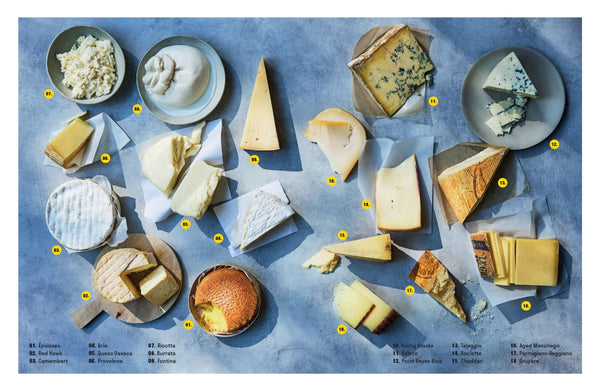 Cheese Please Over 90 Indulgently Cheesy Dishes—Melty, Crispy, Savory, and Sweet By Sue Quinn | Hardie Grant