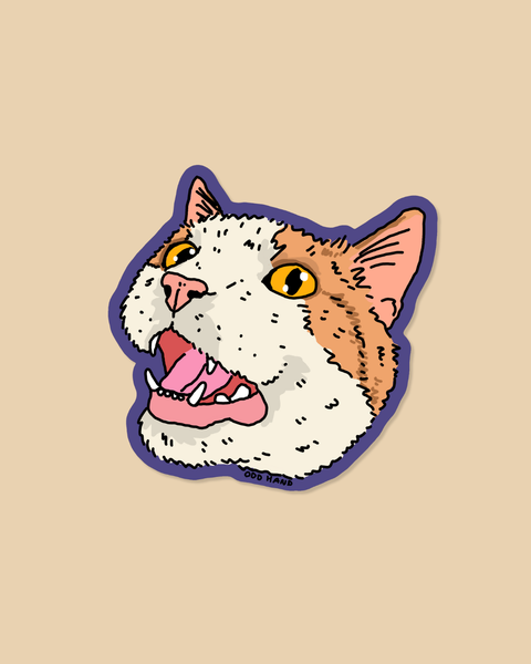 Ginger Cat Sticker | Odd Hand Co