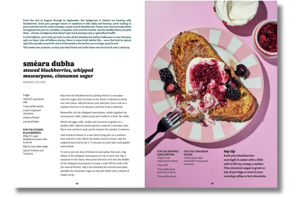 Toasties The Alchemy of Cheese, Bread, Butter and Heat By Ann Ní Chíobháin | Hardie Grant