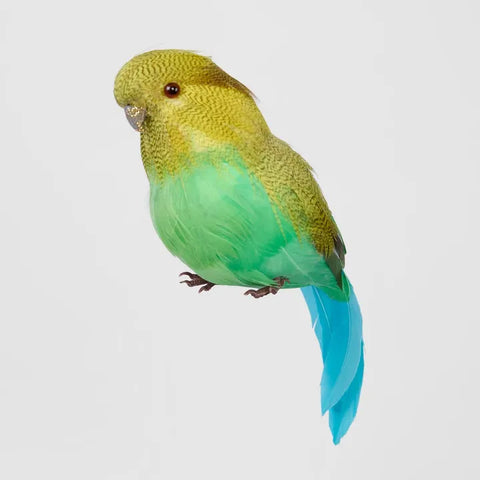 Glitter Beak Budgie Green | Florabelle