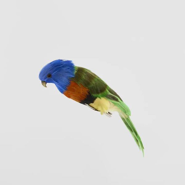 Little Lorikeet | Florabelle