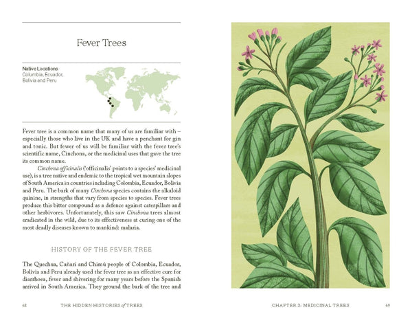 The Hidden Histories of Trees Fascinating Stories of our Most-loved Trees By Maddie Bailey | Hardie Grant
