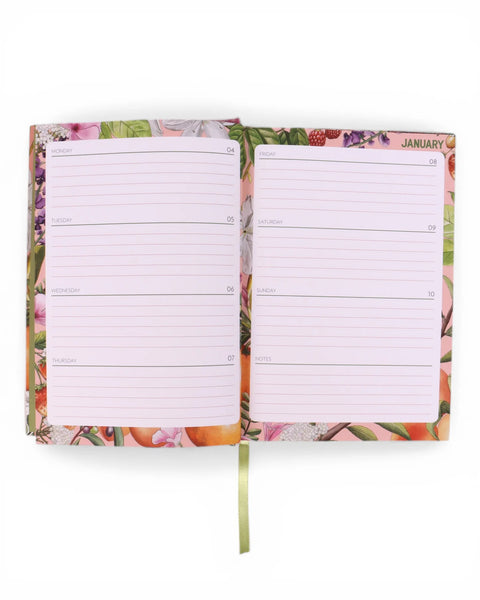 2027 Diary | La La Land