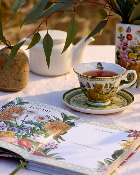 2026 Diary | La La Land