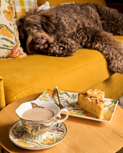 Tea Cup & Saucer Golden Hour | La La Land