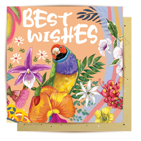 Best Wishes Tropicana Greeting Card | La La Land