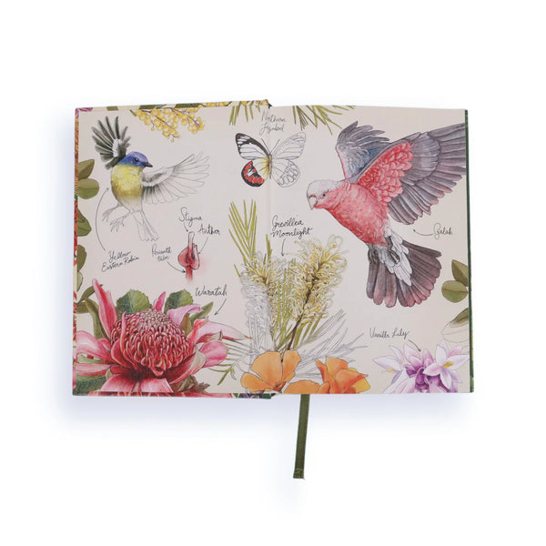 2026 Diary | La La Land