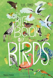 The Big Book of Birds | Yuval Zommer | Hardie Grant