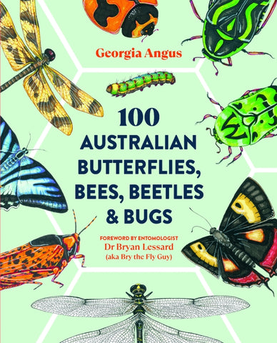100 Australian Butterflies, Bees, Beetles & Bugs By Georgia Angus | Hardie Grant