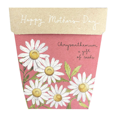 Chrysanthemum Mother's Day Gift of Seeds | Sow n Sow