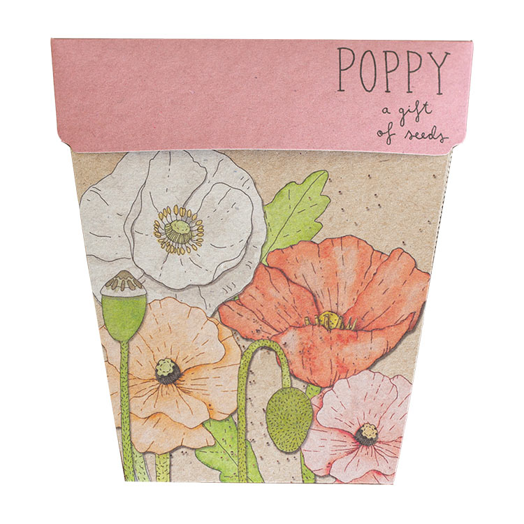 Poppy Gift of Seeds | Sow n Sow