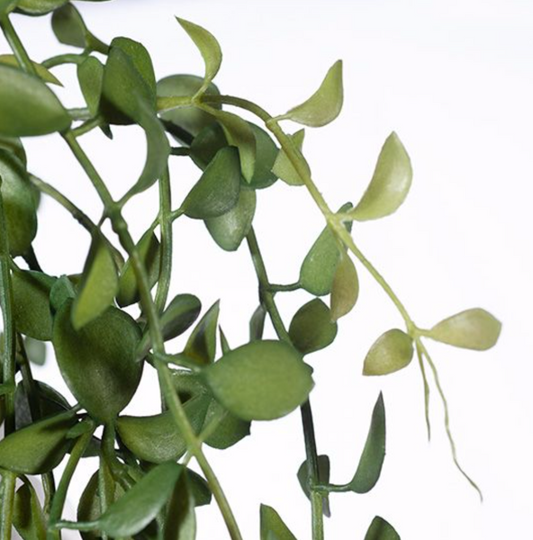 Fern Button Hanging Bush | Green 94cm | Floral Interiors