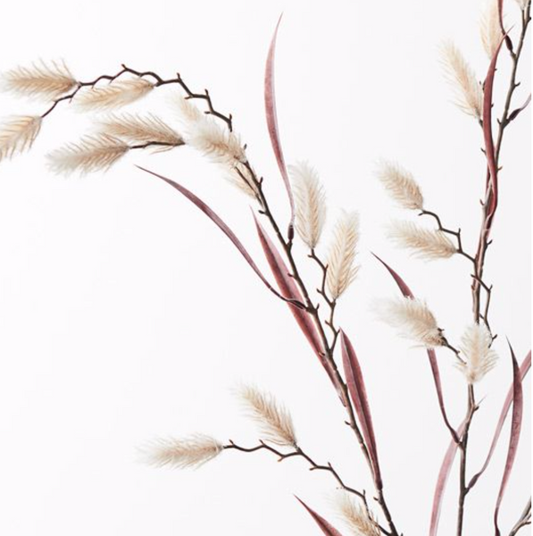Dogtail Grass Spray | Cream 81cm | Floral Interiors