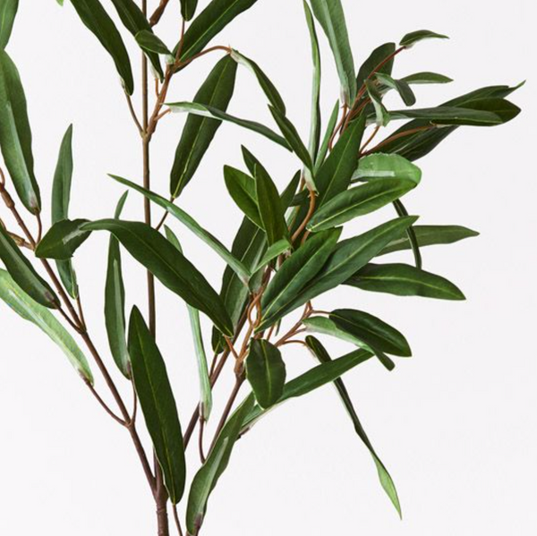 Olive Leaf Spray | Green 73cm | Floral Interiors