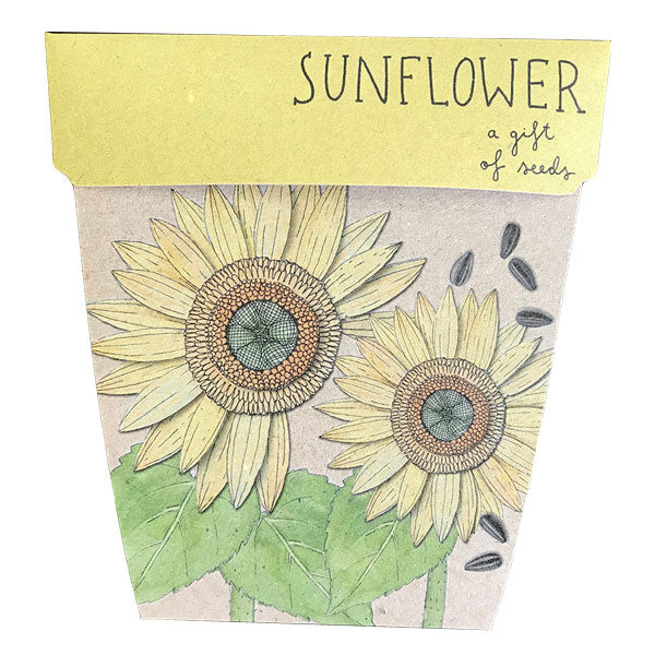 Sunflower Gift of Seeds | Sow n Sow