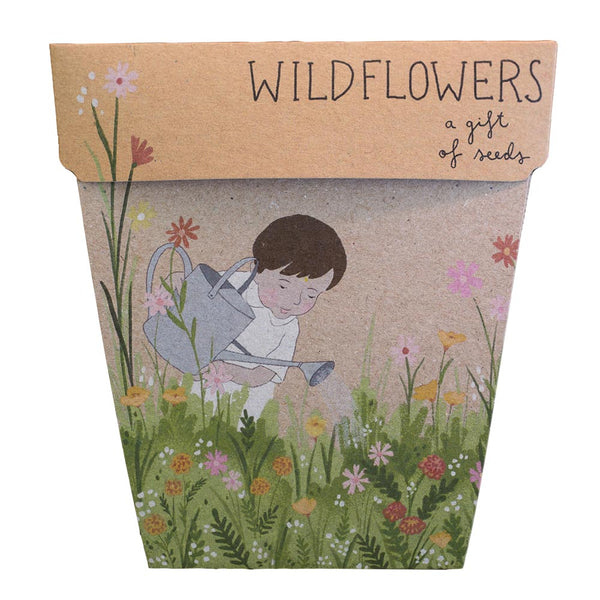 Wildflowers Gift of Seeds | Sow n Sow