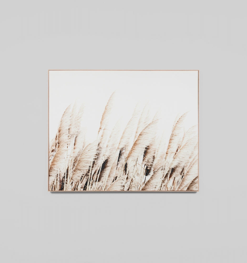 Pampas Breeze Framed Canvas | Middle of Nowhere
